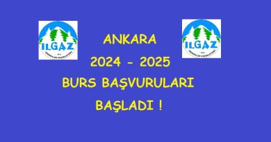 Burs 2024 2025